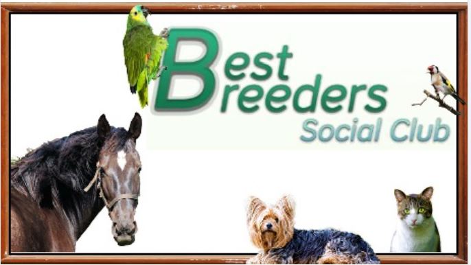 Best Breeders Social Club